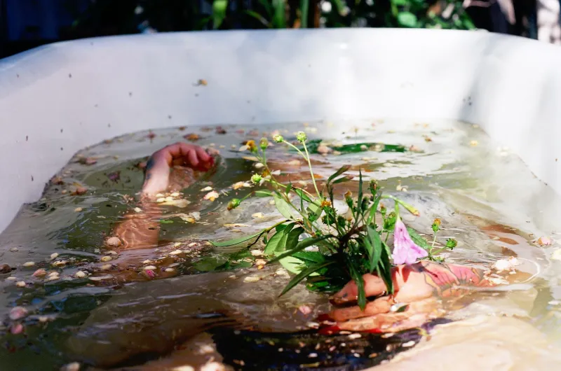 A Sabedoria das Águas Sagradas: Como os Rituais Indígenas Estão Transformando os Spas Brasileiros